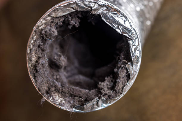 Best Commercial Air Duct Cleaning in Maple Grove, MN